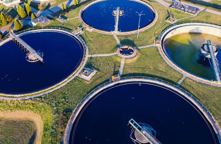 Harvesting valuable resources from wastewater