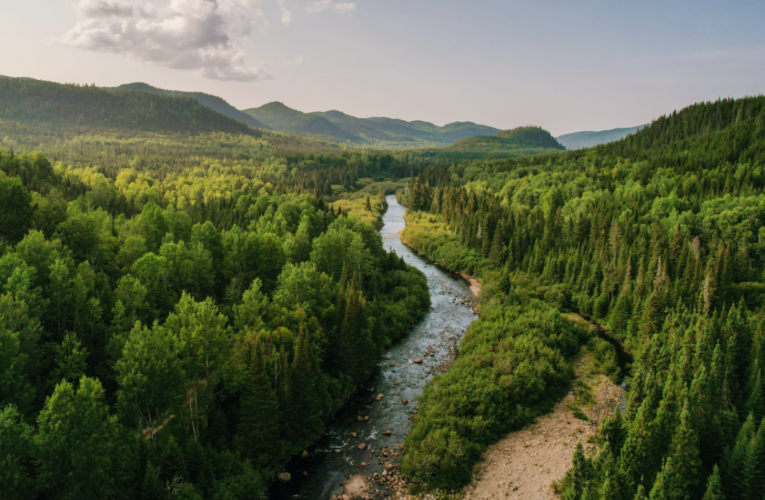 Tetra Pak Refreshes Nature Framework, Strengthening Action on Responsible Sourcing and Water Resilience