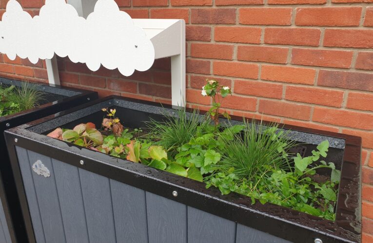 Rain Gardens Bring Sustainable Drainage Lessons to Village School